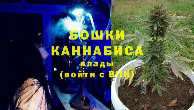 Бошки Шишки индика  Донецк 